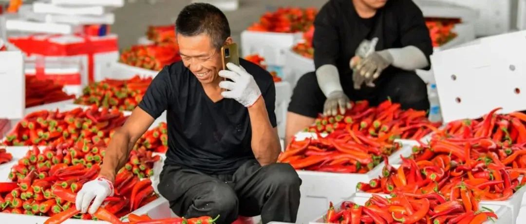 吳祖云：聚焦十大產(chǎn)業(yè)鏈 推進(jìn)產(chǎn)業(yè)強(qiáng)省建設(shè) 譜寫鄉(xiāng)村產(chǎn)業(yè)振興湖北新篇章