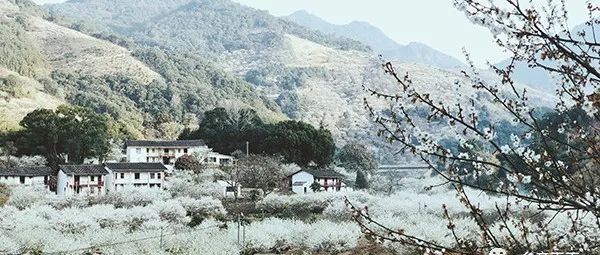 52條路線出爐,！這個冬天,，去鄉(xiāng)村體驗冰雪農(nóng)趣！
