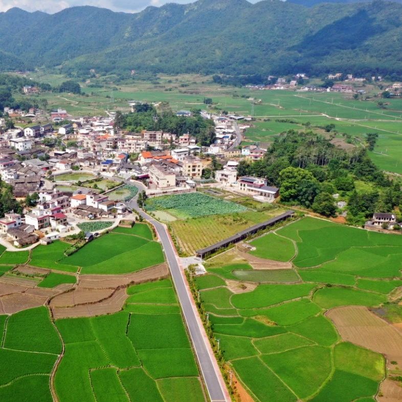 關(guān)于農(nóng)村集體經(jīng)濟(jì)組織開展經(jīng)營活動(dòng)案例分析與思考