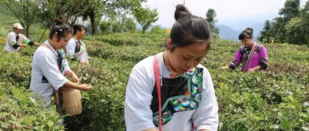 一起來聽,！關(guān)于鄉(xiāng)村產(chǎn)業(yè),，兩會上都有哪些聲音？