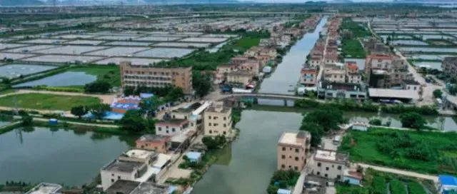 養(yǎng)魚億元村！這條魚讓村民住別墅開豪車,，產(chǎn)業(yè)興旺推動(dòng)鄉(xiāng)村振興,！