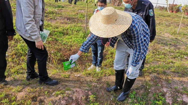 农业农村部部署红火蚁春季防控行动