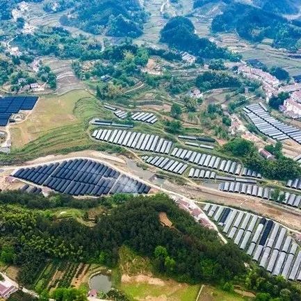 廣東省官方解讀 | 3種模式聚集資源！農(nóng)業(yè)龍頭企業(yè)迎新發(fā)展機(jī)遇