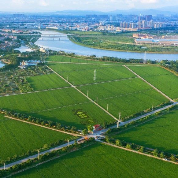 每畝補償4.3萬元,、參照征地給補償！承包地退出,，這些地方已先試