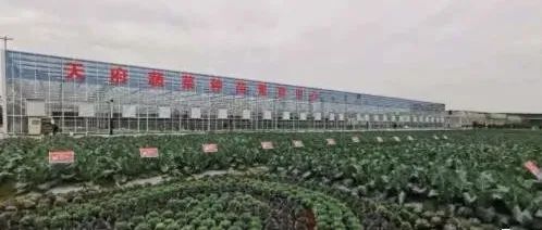 四川省彭州市：建設蔬菜全產(chǎn)業(yè)鏈  打造中國“西部菜都” | 全產(chǎn)業(yè)鏈典型縣案例