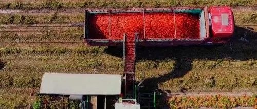 笑廚食品：讓農(nóng)戶的日子像番茄一樣越來越甜 | 龍頭企業(yè)典型案例