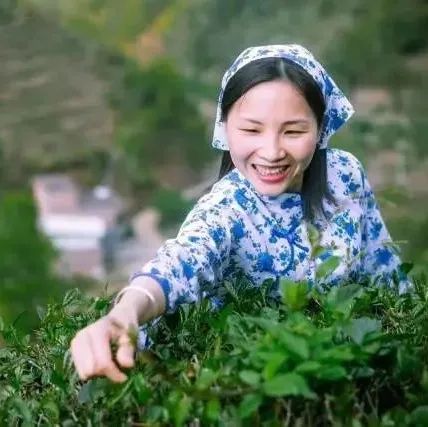 紫金縣縣長鄧紅衛(wèi)：從茶葉到“茶業(yè)”,，產(chǎn)業(yè)園拓寬鄉(xiāng)村振興路