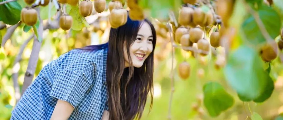 想去鄉(xiāng)游×飛豬超級榜單｜?南陽鄉(xiāng)村風(fēng)情沉浸之旅