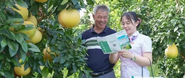 廣東金融支農(nóng)新政出臺,！2025年底全省涉農(nóng)貸款余額將超2萬億元,！