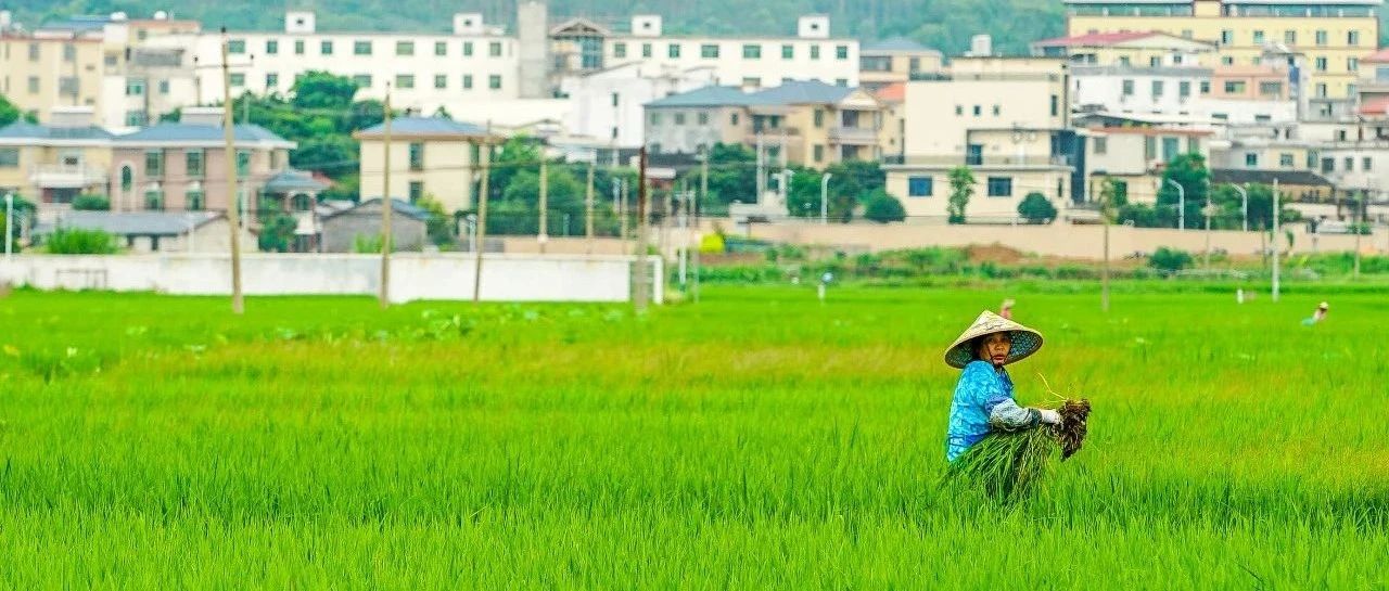 嚴(yán)守耕地紅線,！廣東出臺(tái)耕地保護(hù)動(dòng)態(tài)監(jiān)測(cè)監(jiān)管工作方案