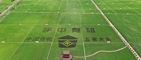 黑龍江省五常市：做響優(yōu)質(zhì)稻米之鄉(xiāng)旅游品牌 | 休閑農(nóng)業(yè)重點縣典型案例