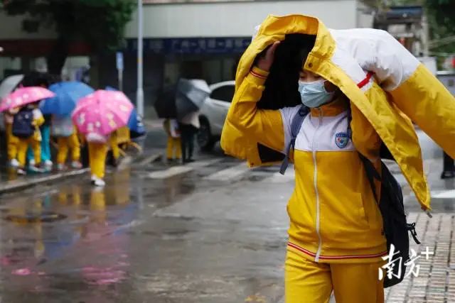 广东一夜入冬！台风带来大雨降温，新冷空气即将登场