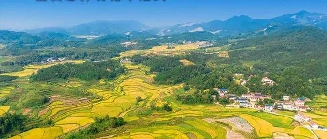 權(quán)威快報丨我國首部農(nóng)業(yè)綠色發(fā)展專項規(guī)劃發(fā)布,！