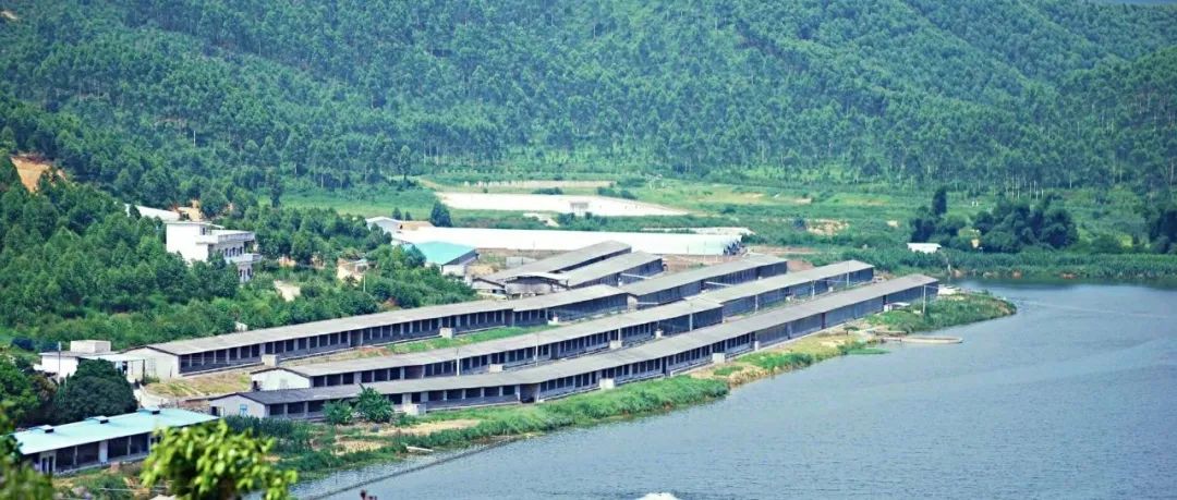 3年內(nèi)全省至少墾造15萬畝水田,！《廣東省自然資源保護(hù)與開發(fā)“十四五”規(guī)劃》出臺(tái)