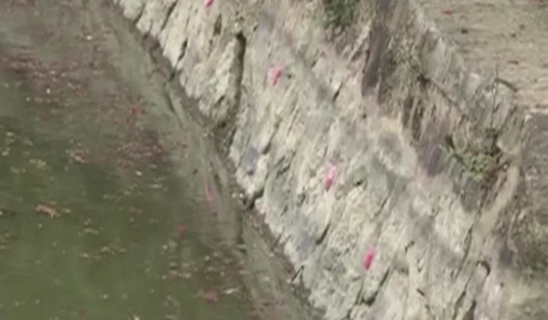 千万别碰！近期广东高发！寄生虫可多达6000条