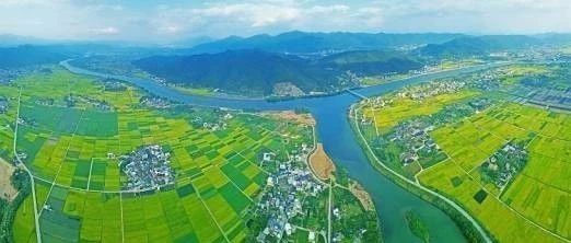 廣東召開(kāi)數(shù)字農(nóng)業(yè)農(nóng)村網(wǎng)絡(luò)圓桌會(huì)議,，集思廣益推進(jìn)鄉(xiāng)村振興