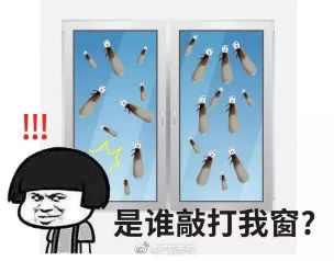 广东人的烦恼：一大波飞虫正在靠近